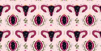 female reproductive anatomy displayed as wallpaper