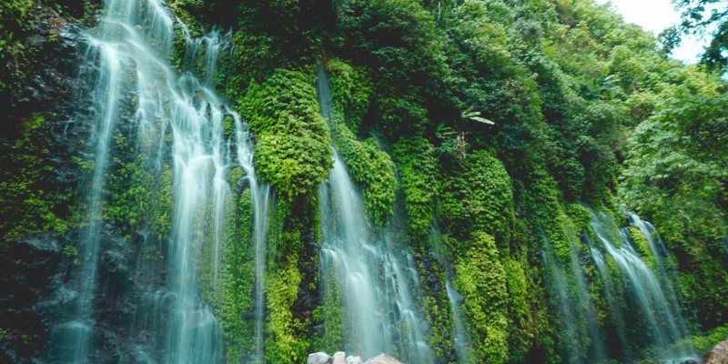 Organic waterfall in a forest