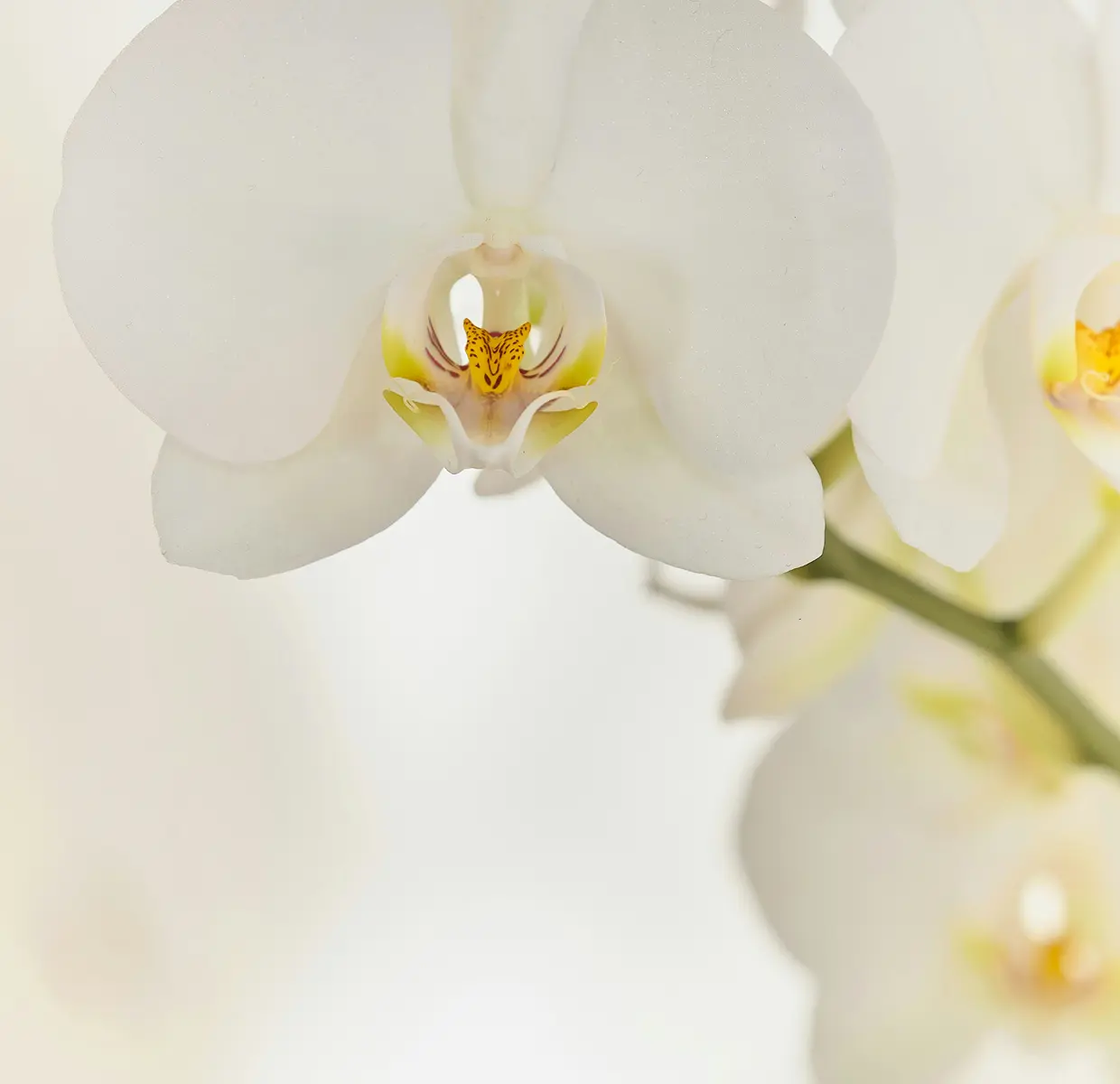 The truth about harmful chemicals in personal health products