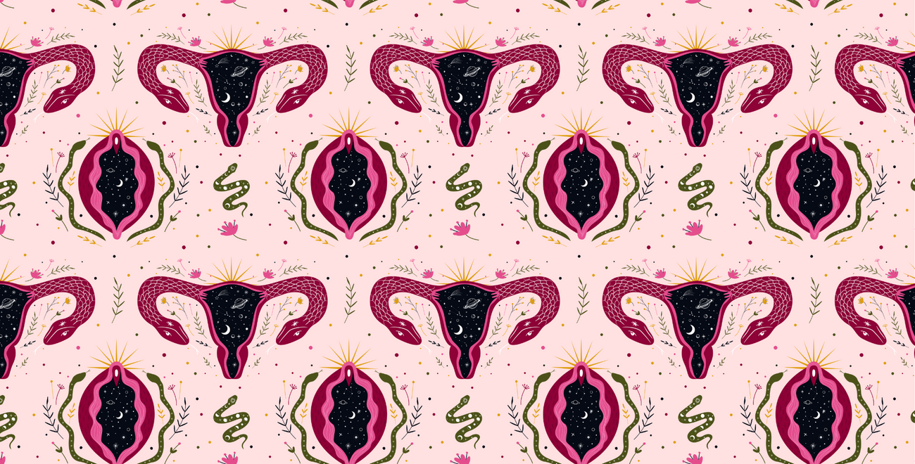 female reproductive anatomy displayed as wallpaper
