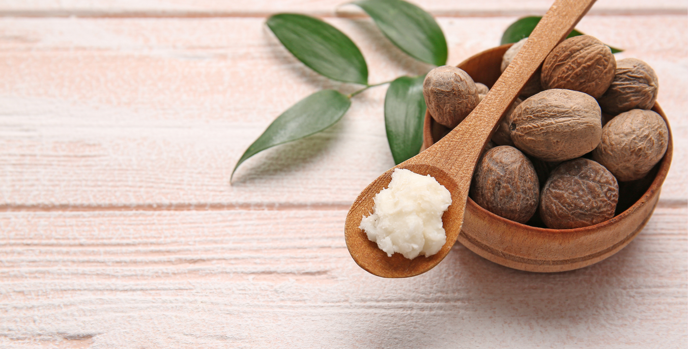 shea butter in spoon with shea nuts in plate