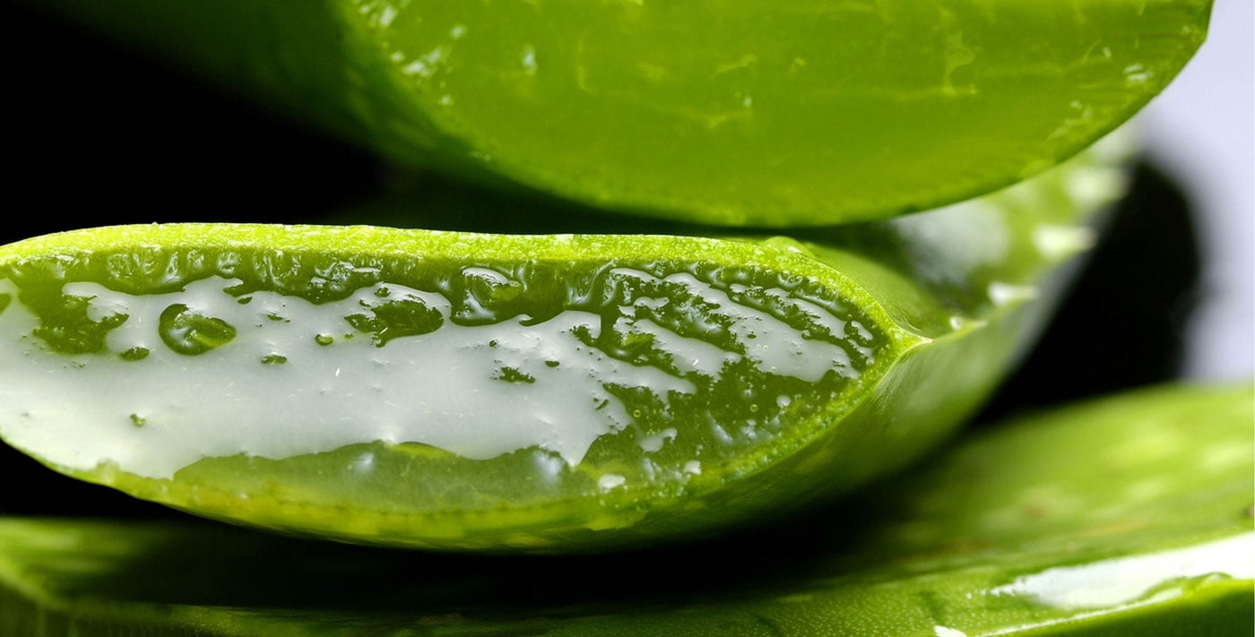 Women walking through natural field