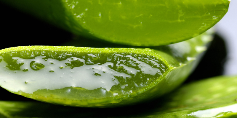 difference between water based and oil based lubricant Love your Lube main image 0