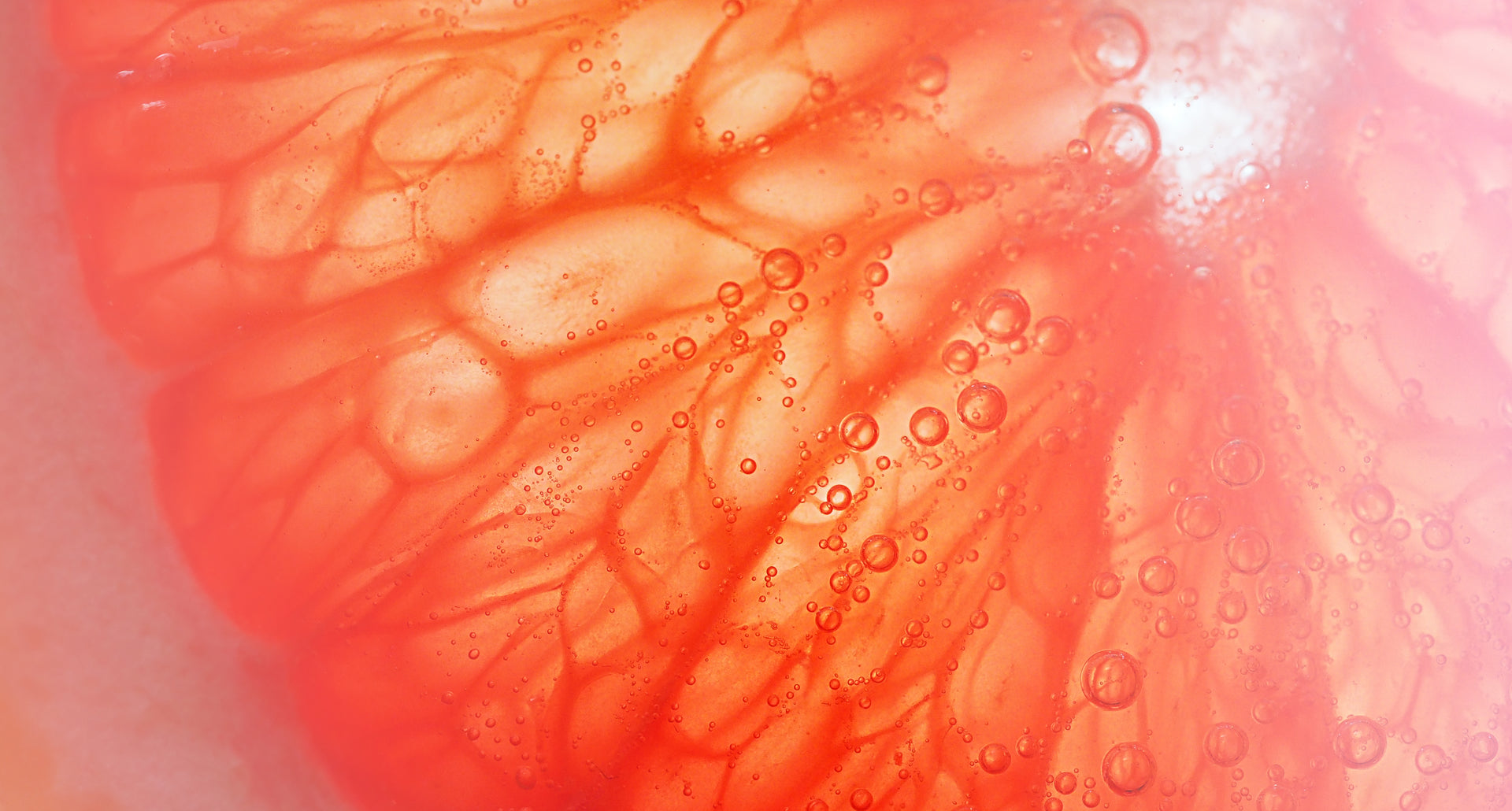 close up picture of grapefruit segment